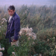 Image for article titled What Annihilation learned from Andrei Tarkovsky’s Soviet sci-fi classics